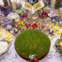 Навруз-байрам — праздник весны! Традиции празднования Навруза