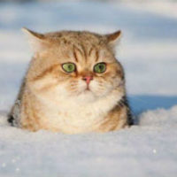 Ну и ну, и такое бывает!